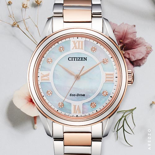 Citizen Eco-Drive Fiore Diamond Accent Two-Tone Watch