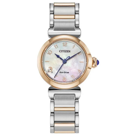 Lad Eco Wr50 Sstrg Brac White